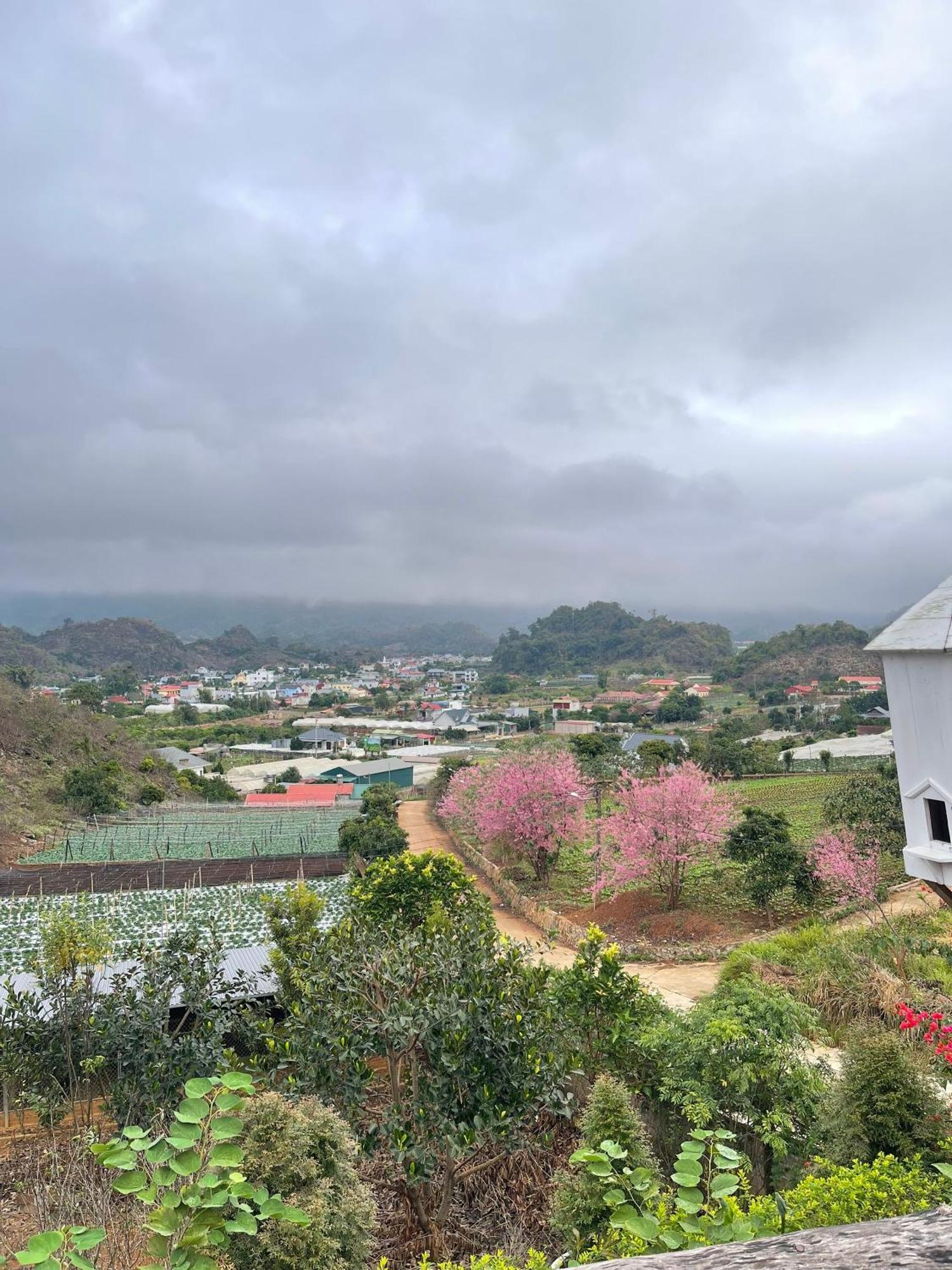 Doi Thong Homestay Moc Chau - By Bay Luxury Son La Eksteriør billede